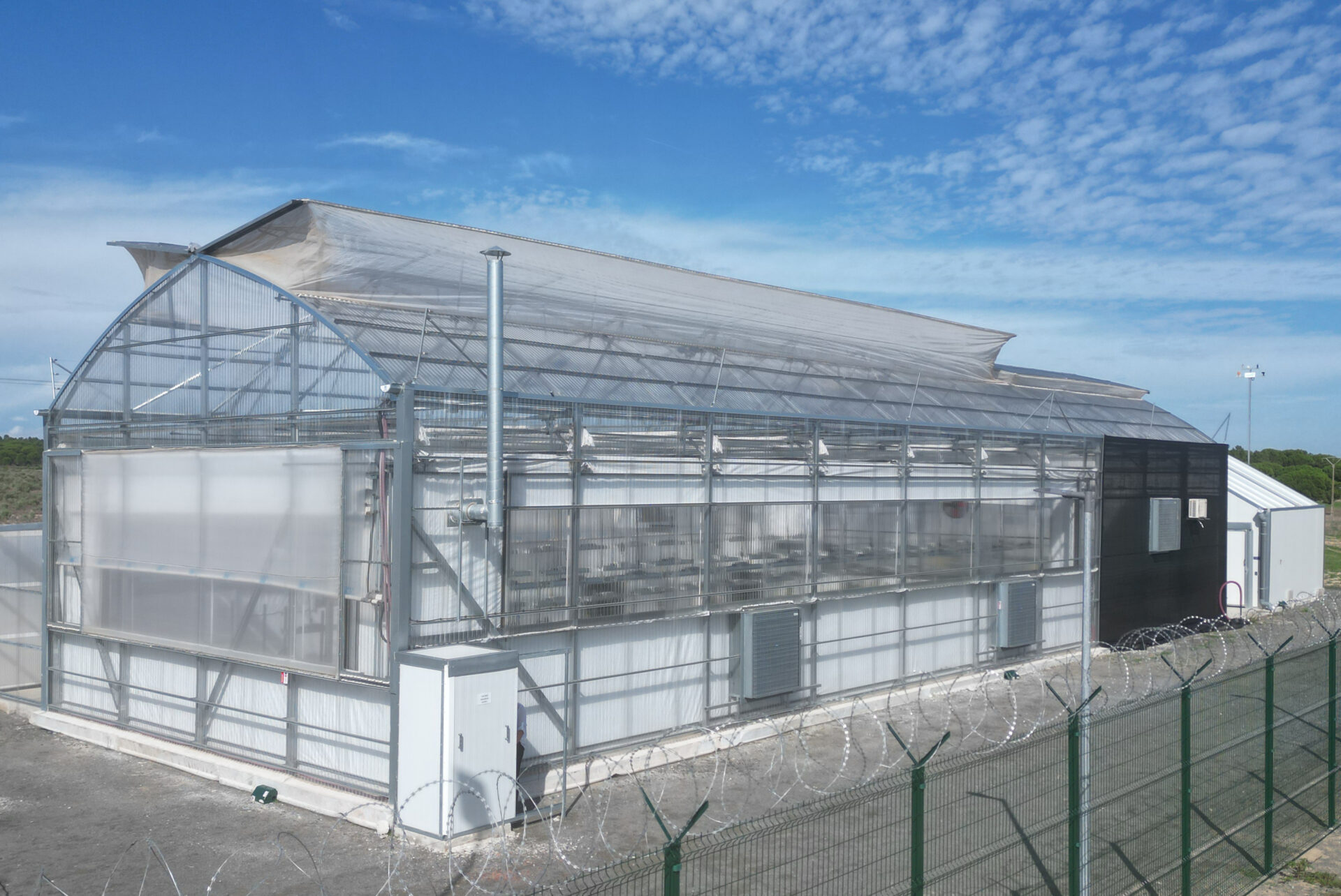 Avextra Portugal Unveils Advanced Breeding Program to Develop Proprietary THC and CBD Cultivars, Establishing a Key IP Pillar